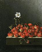 Adriaen Coorte Still life with wild strawberries. oil on canvas